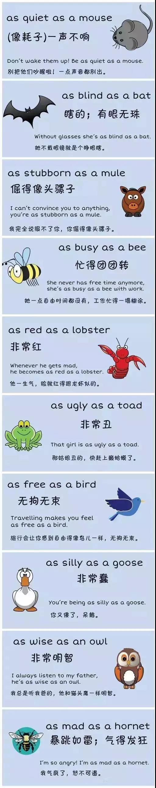 儿童英语加盟