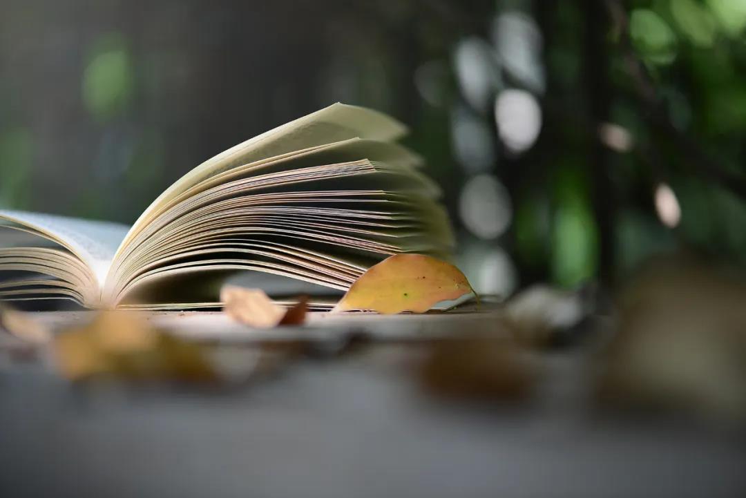 格琳斯英语