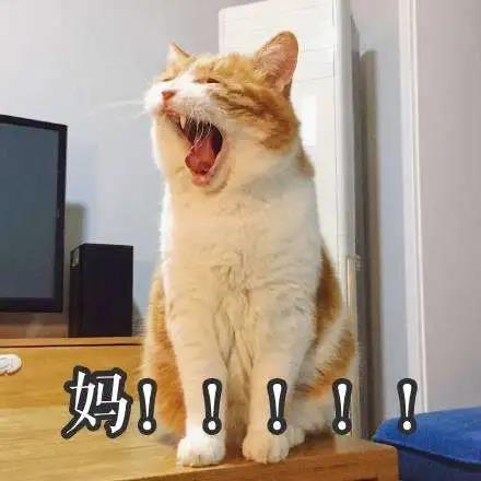 格琳斯英语