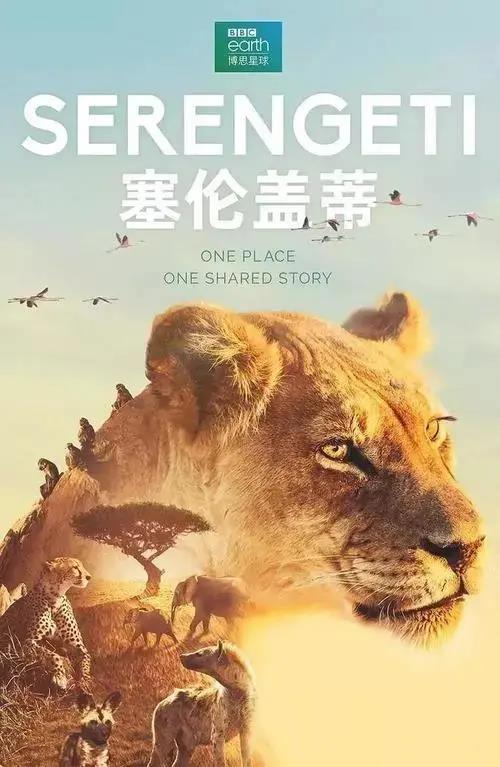 格琳斯英语